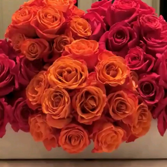 Meet your Posher, Bri - Picture 1 of 1